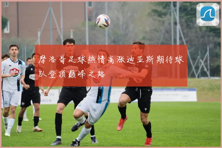 摩洛哥足球热情高涨迪亚斯期待球队登顶巅峰之路