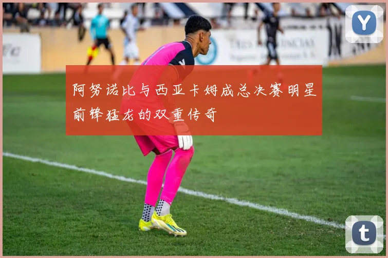阿努诺比与西亚卡姆成总决赛明星前锋猛龙的双重传奇